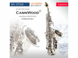 CannWood Saxophone_ _ Professional Class _ CSS_8300SC_